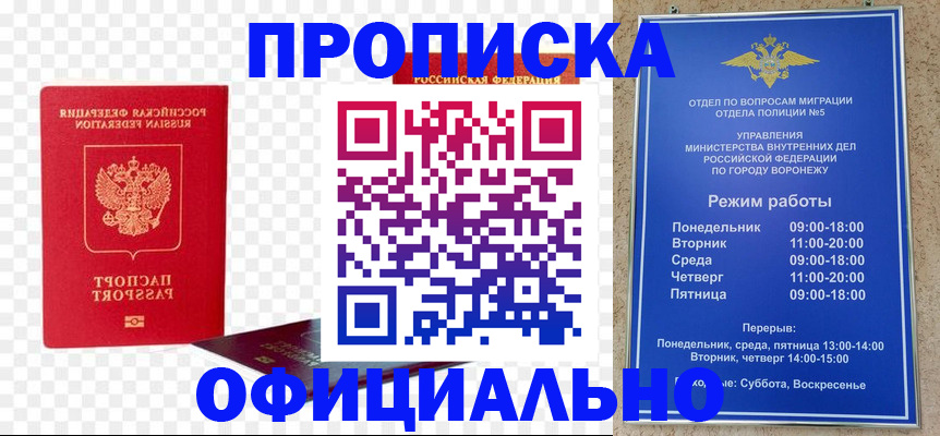 прописка иностранных граждан в Североморске
